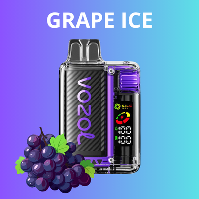 Vozol Vista 20000 – Grape Ice Vape